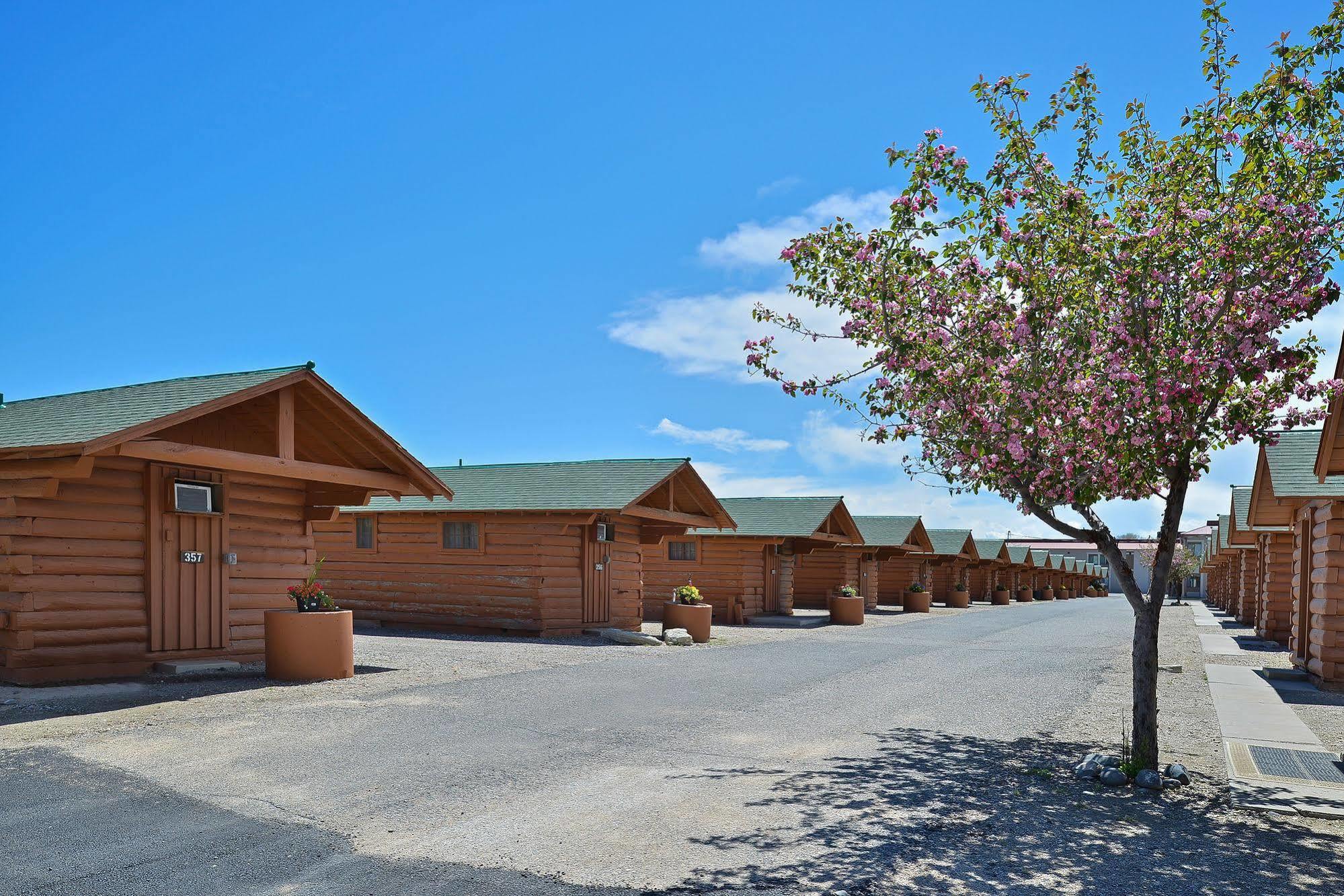 Buffalo Bill Cabin Village Cody Dış mekan fotoğraf